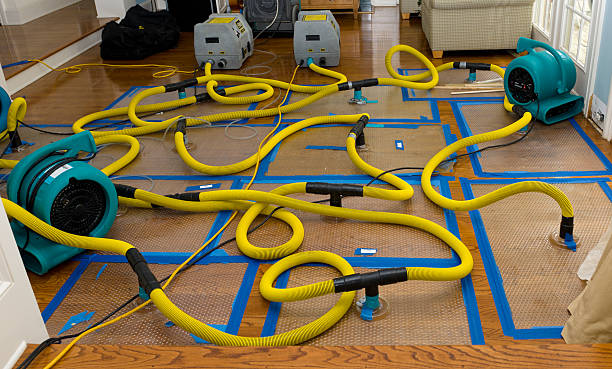 Professional Structural Drying And Dehumidification technician working in Lakeville, OH